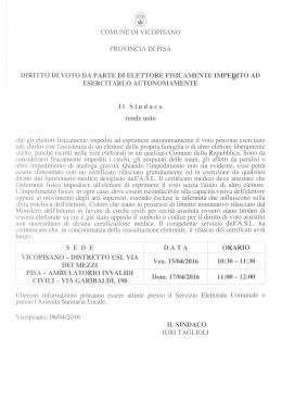 Diritto di voto da parte di elettori fisicamente impedito a esercitarlo
