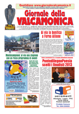 GdV n.11 del 2013 - giornale valcamonica