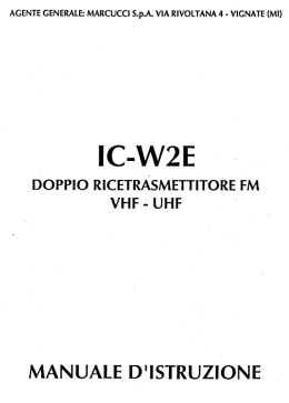 IC W2E ITA