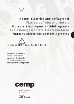 Motori elettrici antideflagranti Flameproof electric motors