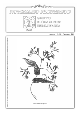 NOV 2009 - Flora Alpina Bergamasca