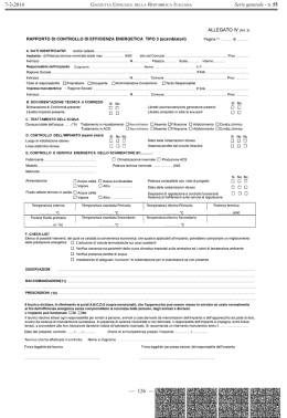 Allegato IV - Rapporto di controllo di efficienza