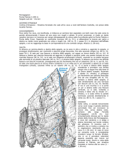 Pomagagnon Punta Fiames 2.240 m Spigolo sud est