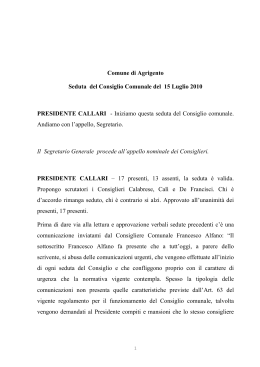 seduta del Consiglio del 15 luglio 2010