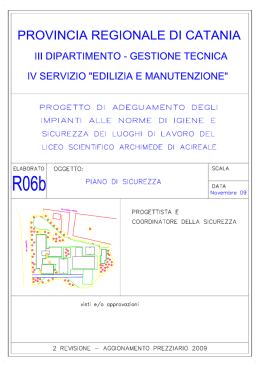Tav R06b Schede Piano di Sicurezza 09