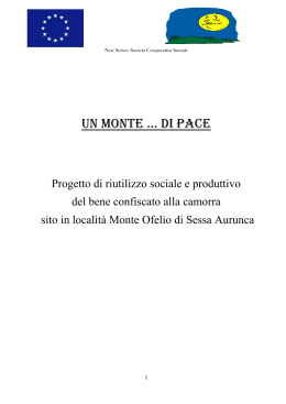 Scarica il pdf - Progetto Monteofelio