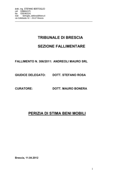 TRIBUNALE DI BRESCIA SEZIONE FALLIMENTARE PERIZIA DI