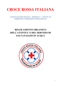 1.32 MB - Croce Rossa Italiana