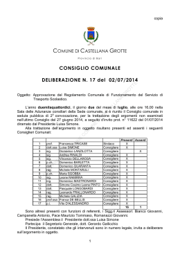 CONSIGLIO COMUNALE DELIBERAZIONE N. 17 del 02/07/2014