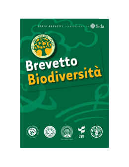Il Brevetto