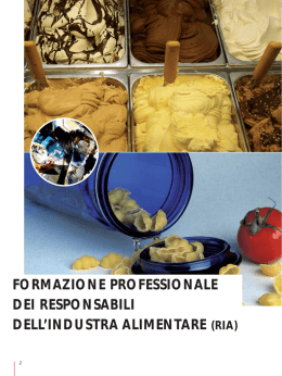 La formazione del RIA