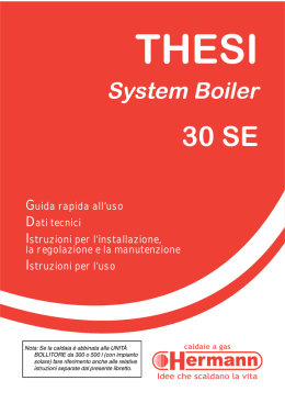 THESI System Boiler 30 SE