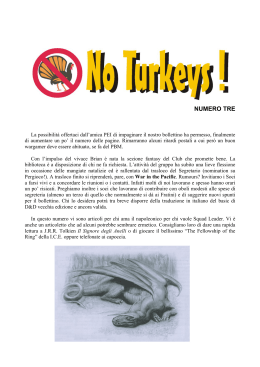 NoTurkeys n. 3