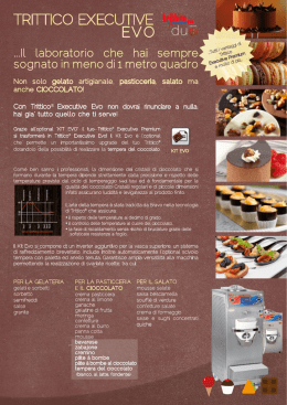 trittico&reg;executive evo