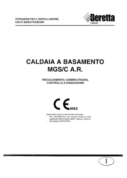 caldaia a basamento mgs/c ar