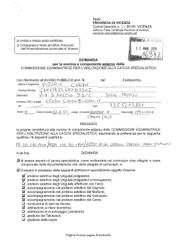 Curriculum vitae - Provincia di Vicenza