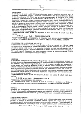 Documento della Valutazione dei Rischi per l`Azienda
