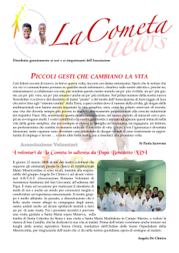 Newsletter 2.08 - La Cometa onlus