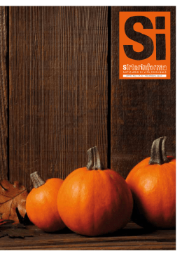 SIRTORINFORMA06 - novembre 2010