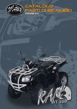 Ricambi - WT Motors