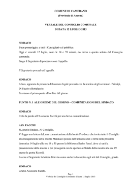 VERBALE DEL CONSIGLIO COMUNALE DI DATA 12 LUGLIO 2013