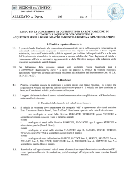 p. 36 DIP AMB SettATM rottamazione