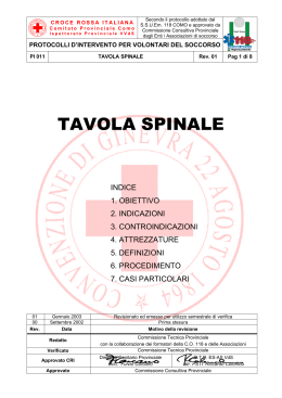 Tavola spinale - Massimo Franzin