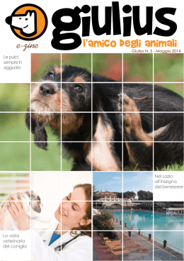 l`amico degli animali