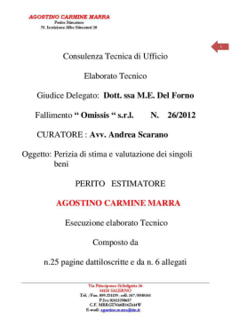 P. Es. Relazione Fall. n. 26-2012