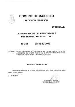 LLPP determinazione n. 254 del 06.12.2013