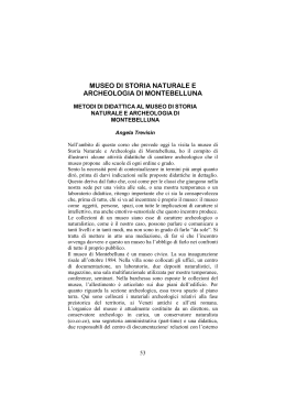museo di storia naturale e archeologia di montebelluna