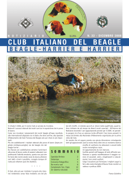 Raduni e Prove - Club Italiano del Beagle, beagle