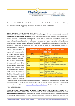 MODULO_news letter - luglio 11 - Confartigianato Imprese Belluno