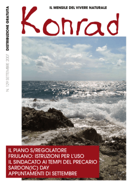 il piano s/regolatore friulano: istruzioni per lluso il