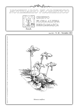 NOV 2013 - Flora Alpina Bergamasca