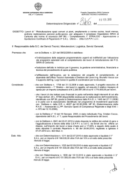 Determinazione del 19 Febbraio 2013, N. 346 [file]