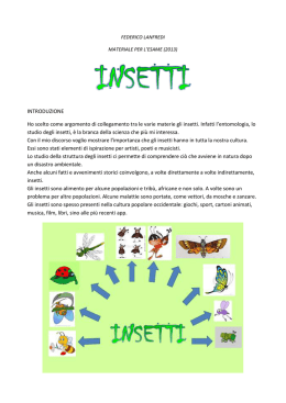 Tesina Federico Lanfredi