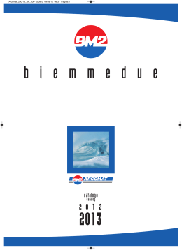 2013 biemmedue