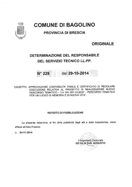 LLPP Determinazione n. 228 del 29.10.2014