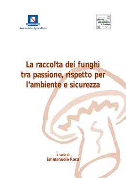La raccolta dei funghi tra passione, rispetto per l`ambiente e sicurezza