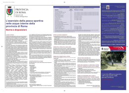 versione pdf del regolamento