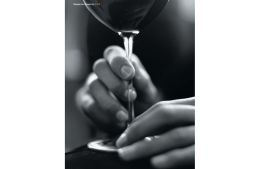 Scarica allegato GG_00_Magazine_2006