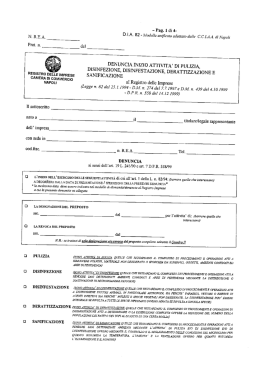 Modello per Impresa di Pulizia - MG Consulting Agenzia Affari e
