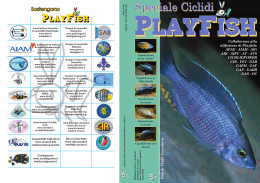 PlayFish Speciale Ciclidi Versione pdf per la stampa a libretto