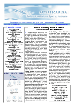 Numero 12 - Marzo 2009