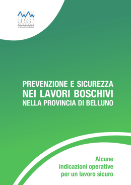 Manuale &ldquo;Prevenzione e sicurezza nei lavori