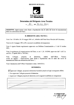 dell`Alcantara Determina del Dirigente Area Tecnica