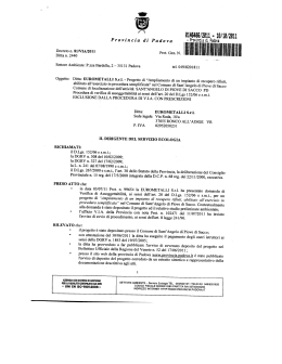 Decreto N. 81/VIA/2011 del 10/10/2011