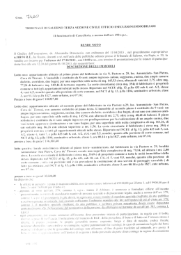 Il Giudice dell`esecuzione. dr. Alessandro llrancaccio. con ordinanza