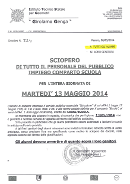 224S 2013-2014 SIOPERO - Istituto Tecnico per Geometri